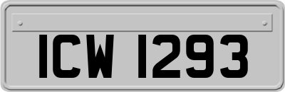 ICW1293
