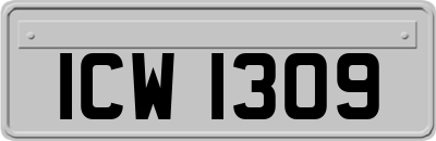 ICW1309