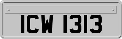 ICW1313