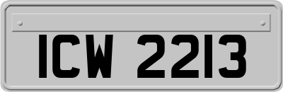 ICW2213