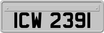 ICW2391
