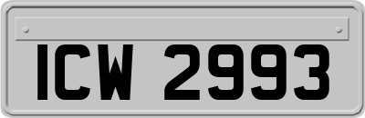 ICW2993