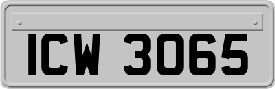 ICW3065