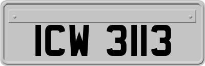 ICW3113