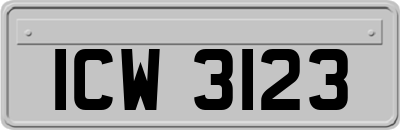 ICW3123