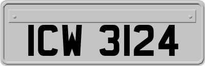 ICW3124