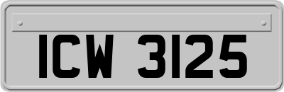 ICW3125