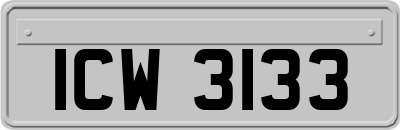 ICW3133