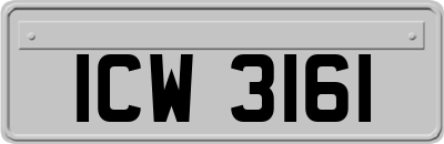 ICW3161