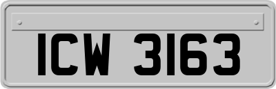 ICW3163