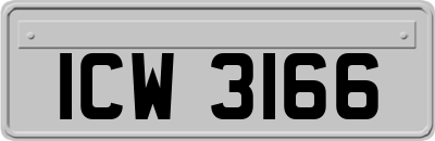 ICW3166