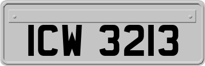 ICW3213