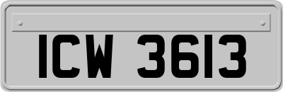 ICW3613