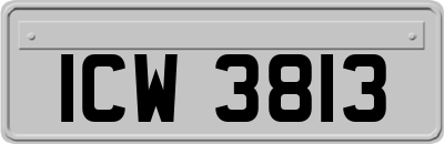 ICW3813