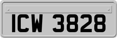 ICW3828