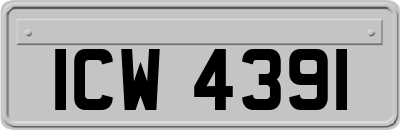 ICW4391