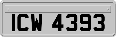 ICW4393