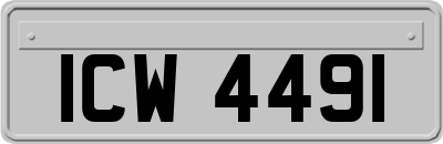ICW4491