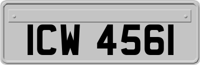 ICW4561
