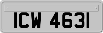 ICW4631