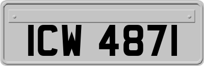 ICW4871