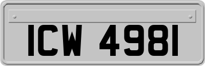 ICW4981