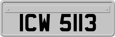 ICW5113