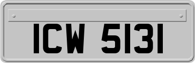 ICW5131