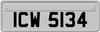 ICW5134