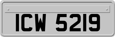 ICW5219