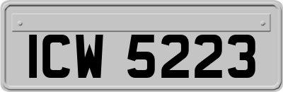 ICW5223