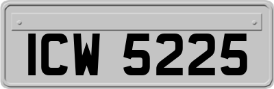 ICW5225