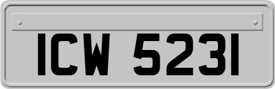 ICW5231