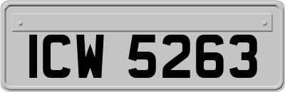 ICW5263