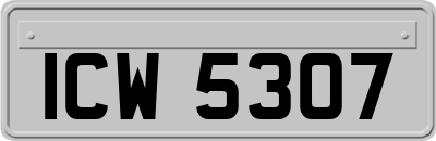 ICW5307