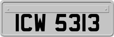 ICW5313