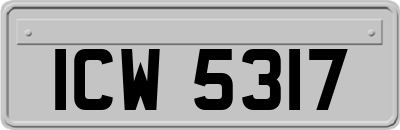 ICW5317