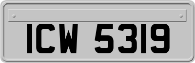 ICW5319