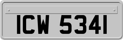 ICW5341