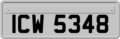 ICW5348