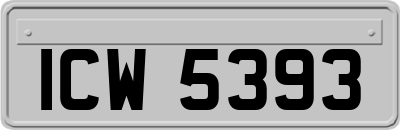 ICW5393