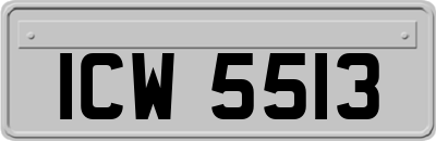 ICW5513