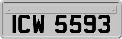 ICW5593