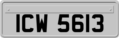 ICW5613