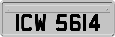ICW5614