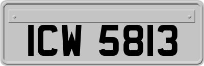 ICW5813