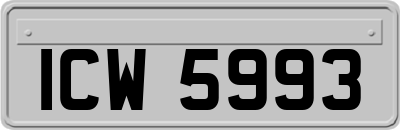 ICW5993