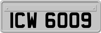 ICW6009