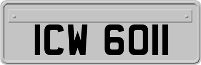 ICW6011