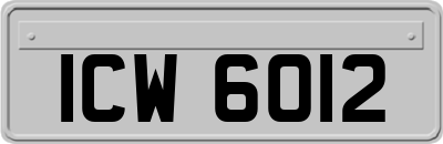 ICW6012